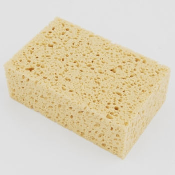 Pesukäsn
